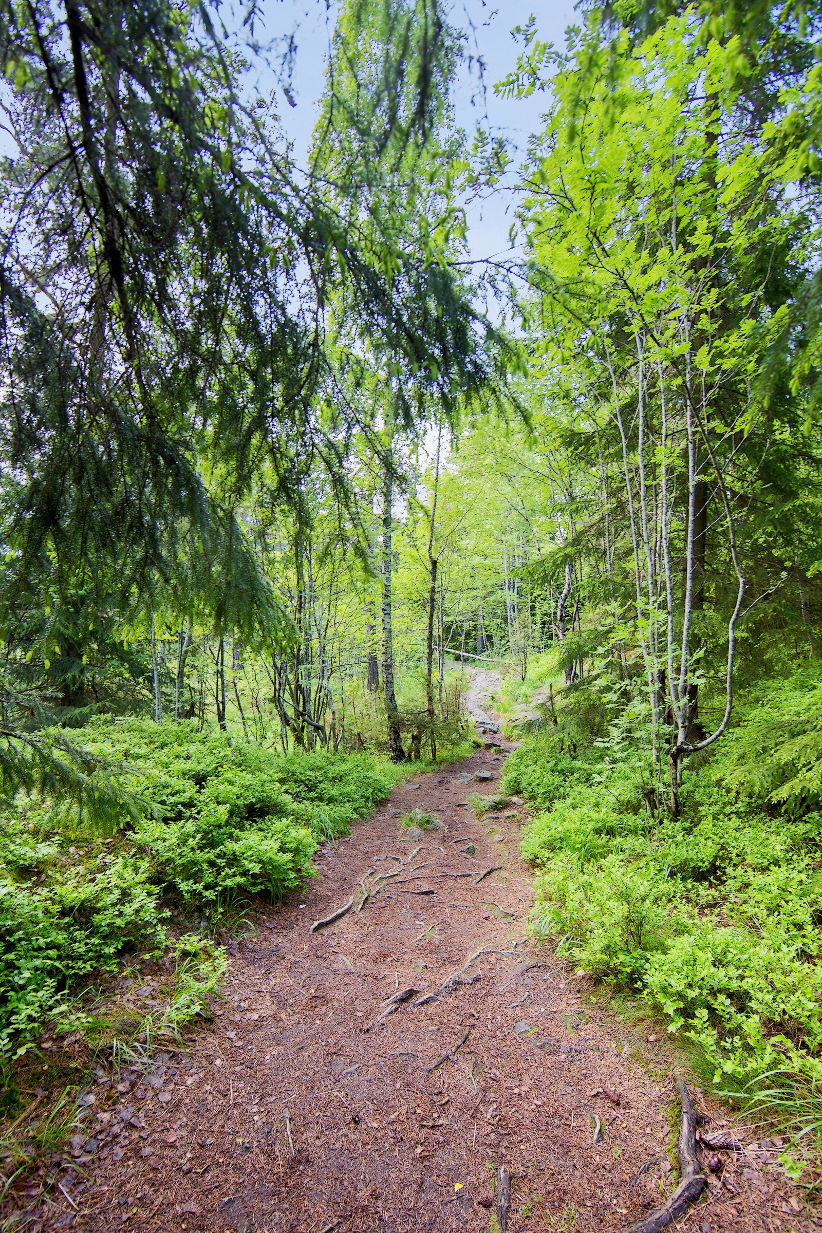 Nærområde Galleribilde