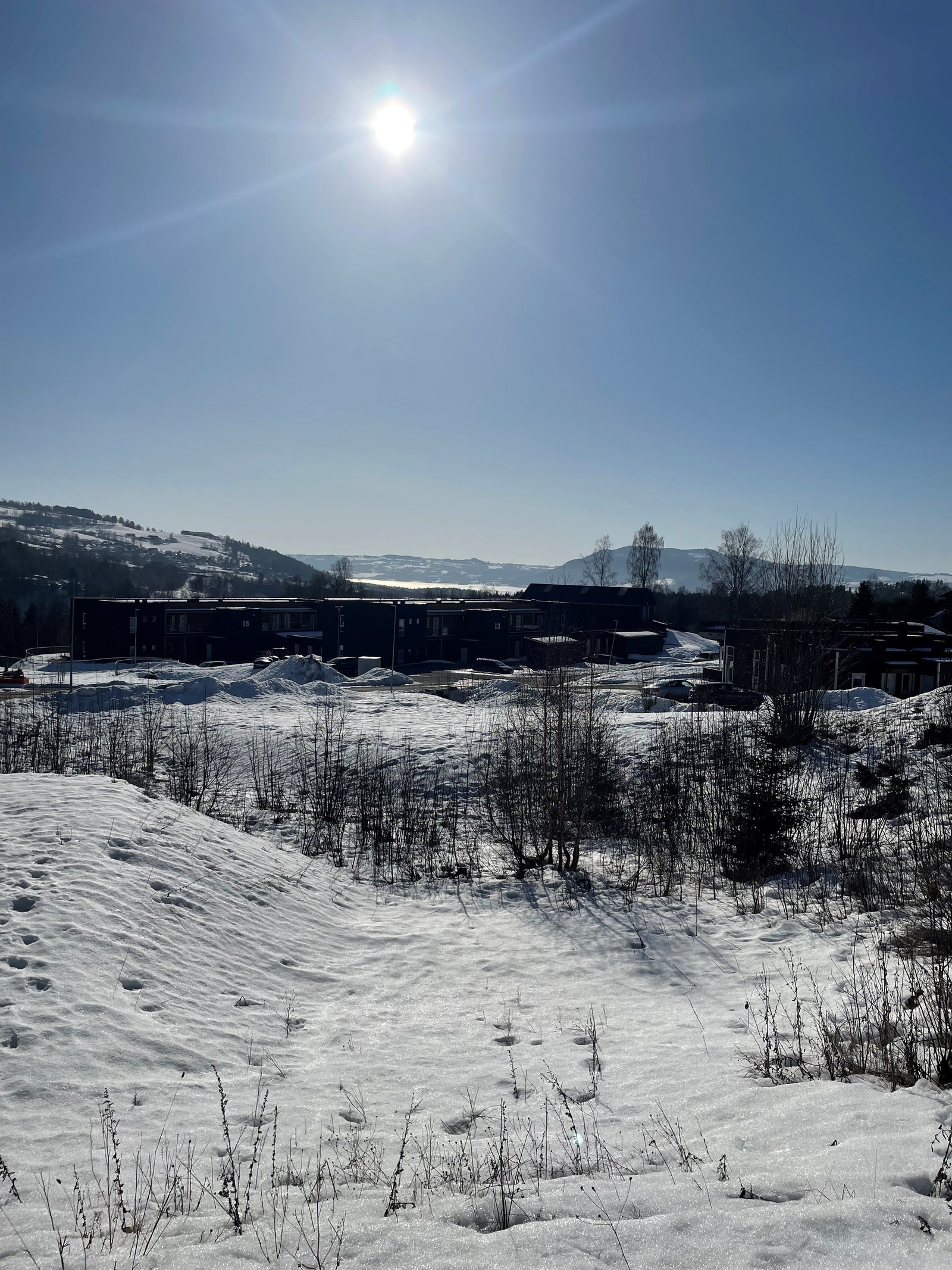 Bilde i fra tomtene Galleribilde
