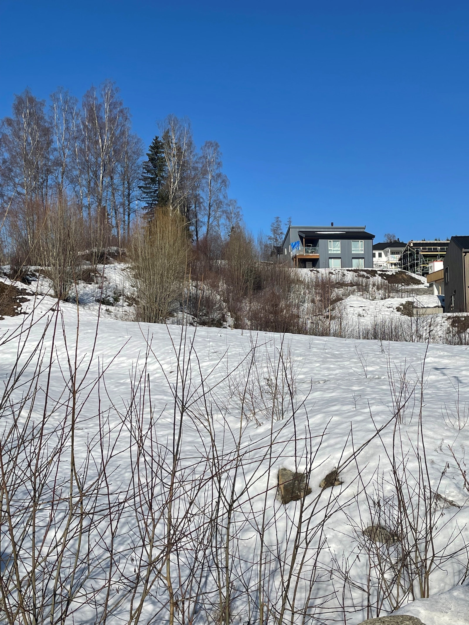 Bilde i fra tomtene Galleribilde