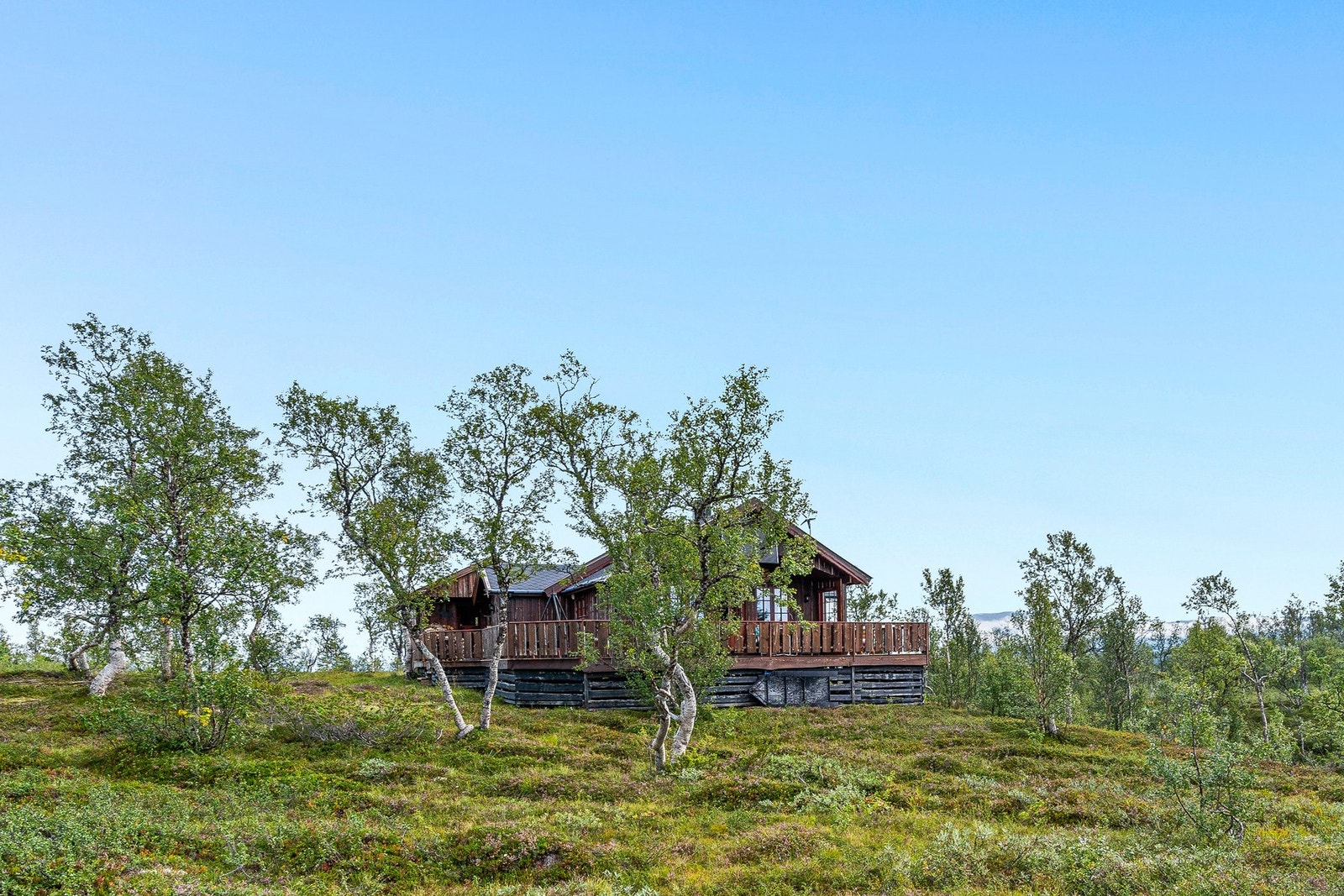 Uteområde Galleribilde