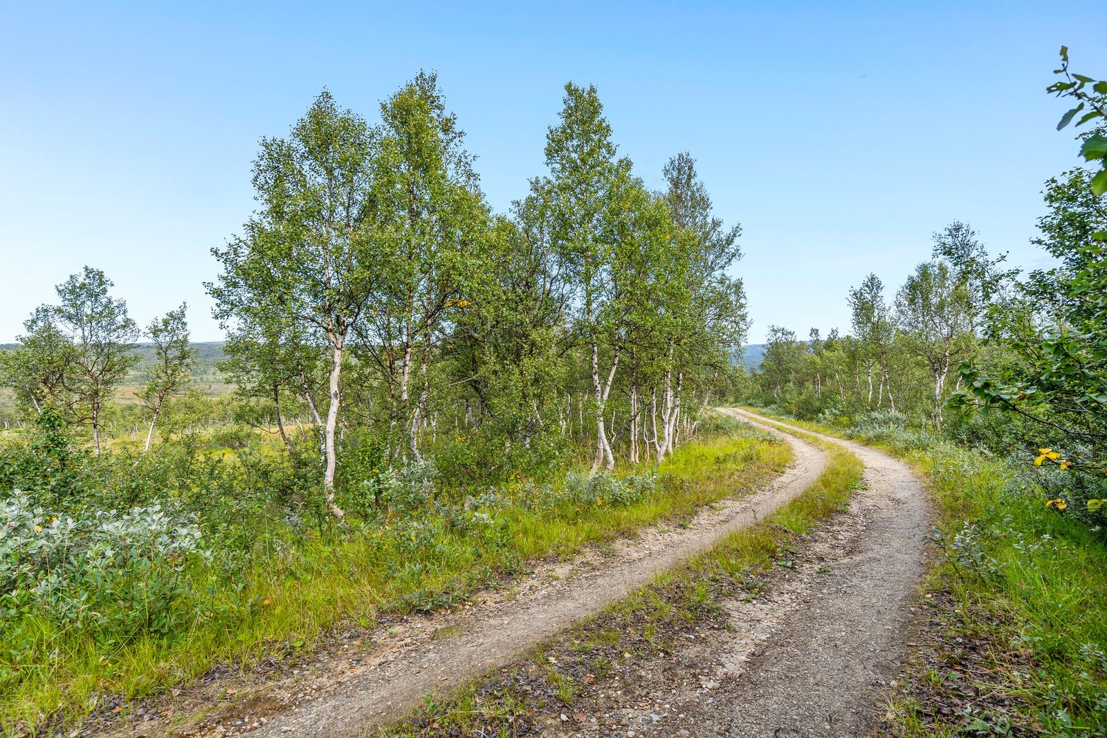 Uteområde Galleribilde
