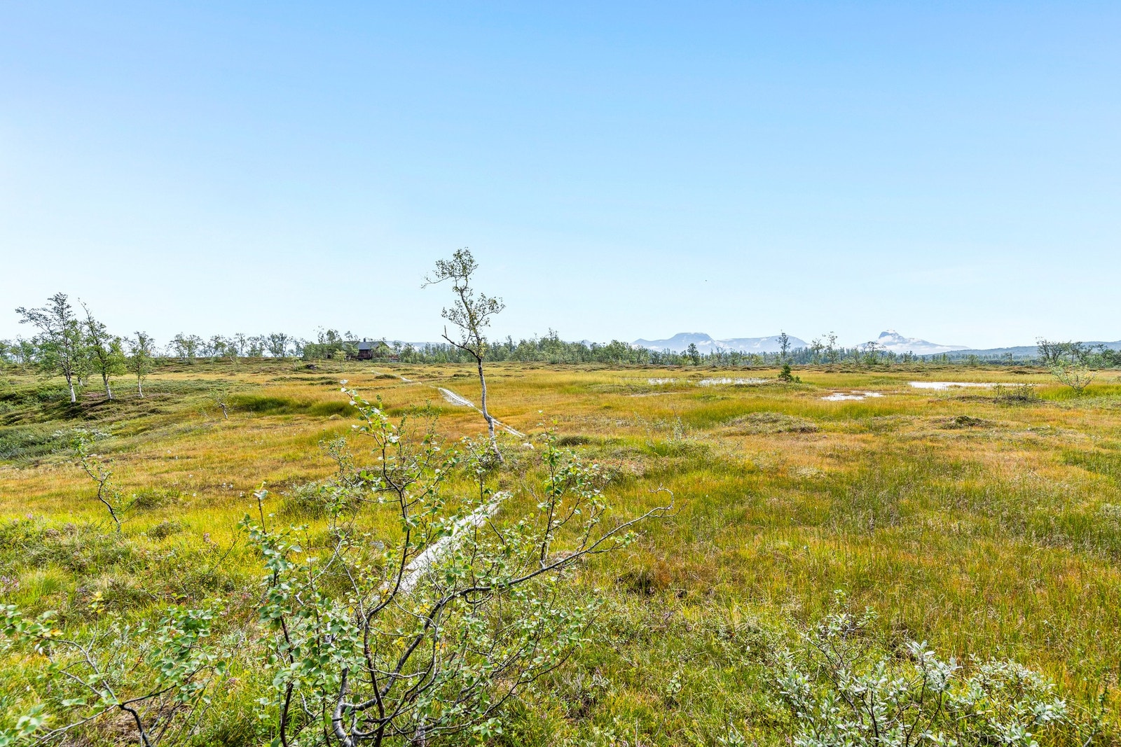 Uteområde Galleribilde