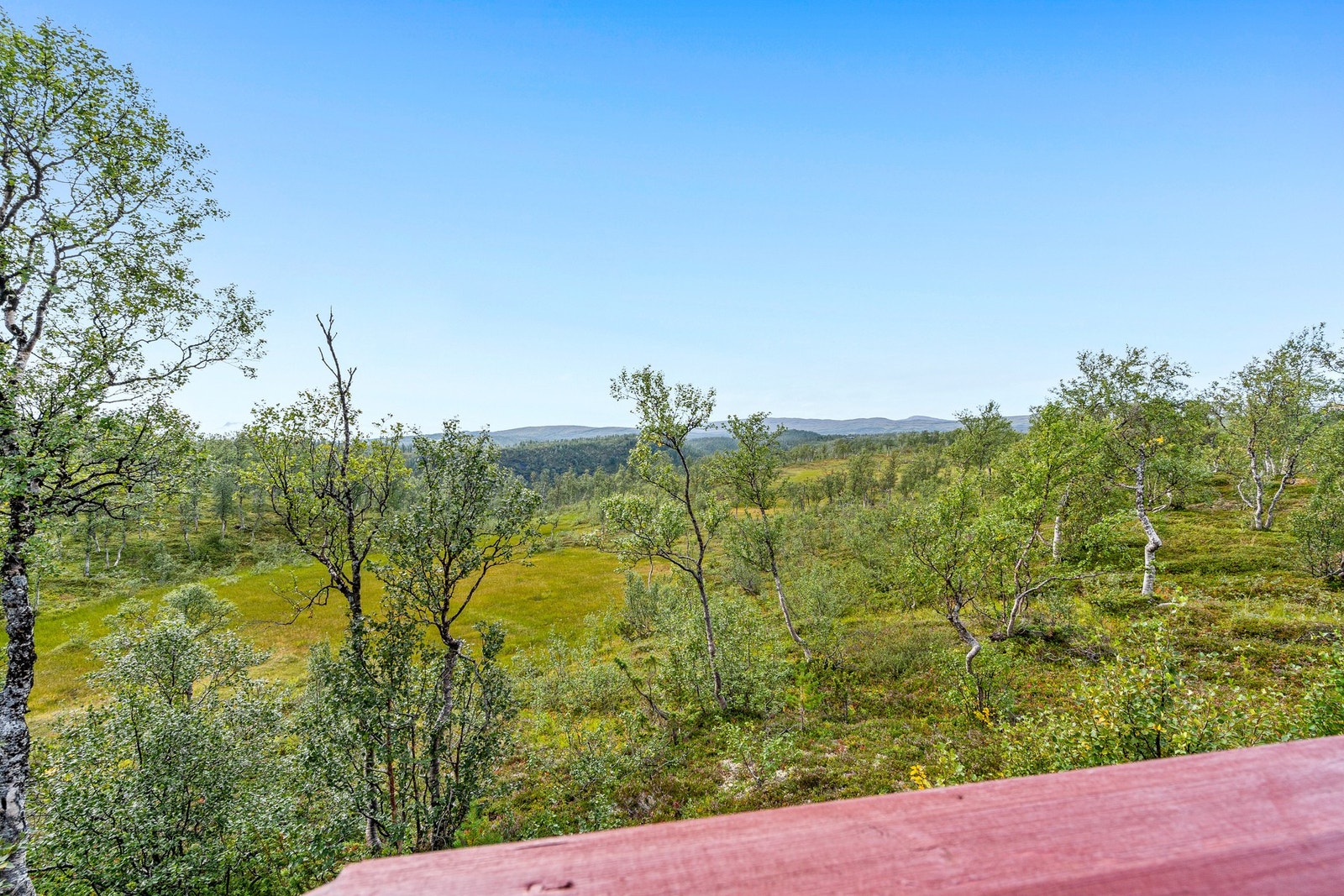 Uteområde Galleribilde