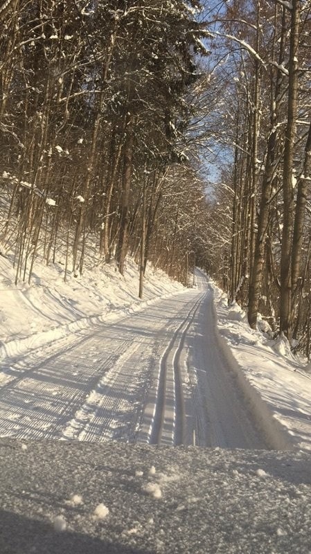 Fine tur- og skiløyper i nærmiljøet - med tilknytning videre innover i marka Galleribilde