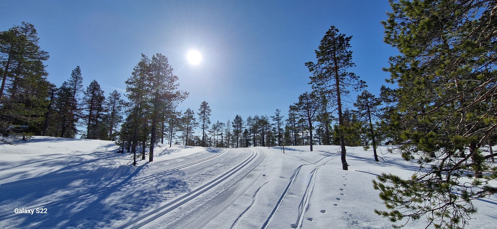 Skiløyper like ved hytta! Galleribilde
