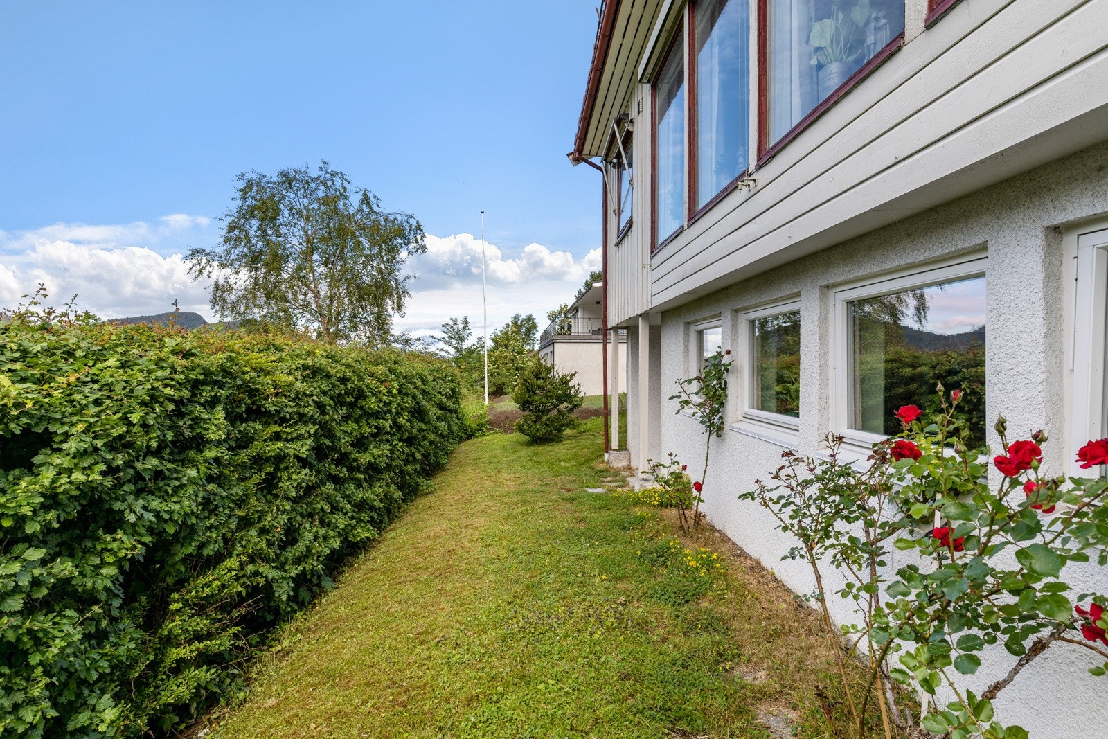 Hage i front av boligen. Galleribilde