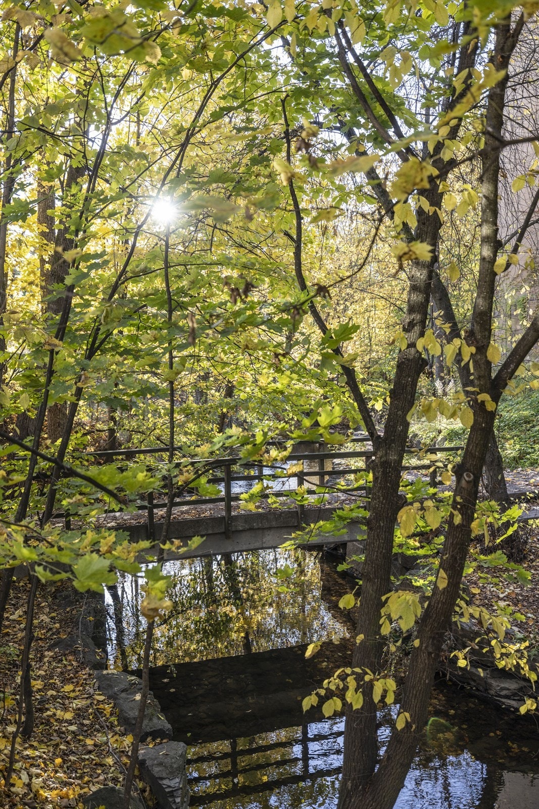 I umiddelbar nærhet finner du blant annet Skøyenparken (Den engelske park) og Frognerparken med sine flotte grønt- og turområder Galleribilde