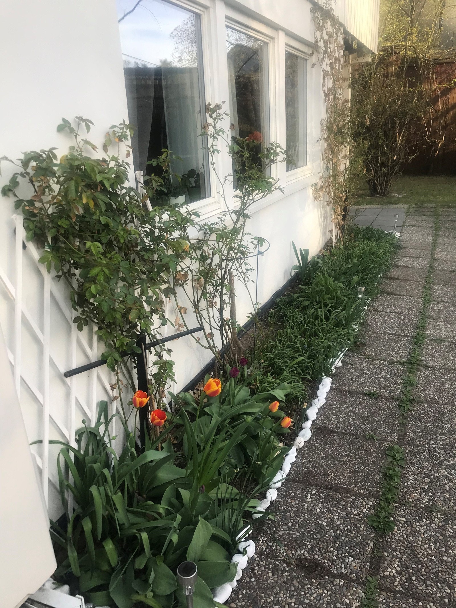 Sommerbilde privatbilde. Galleribilde