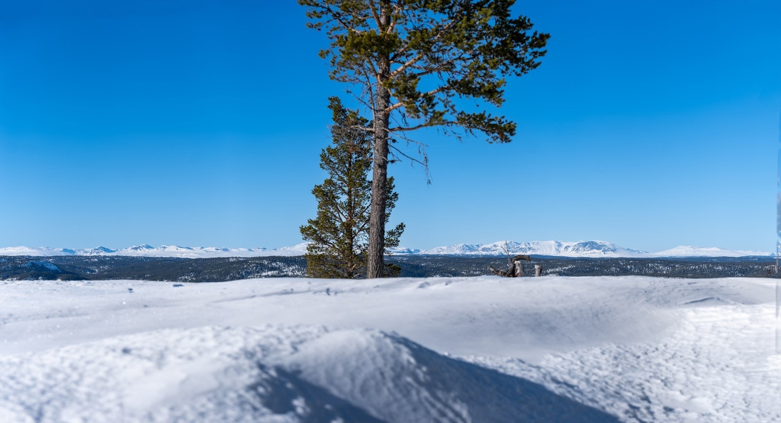 Her kan du blant annet se helt til Hallingskarvet, Hemsedalsfjella, Hardangervidda og Jotunheimen. Galleribilde