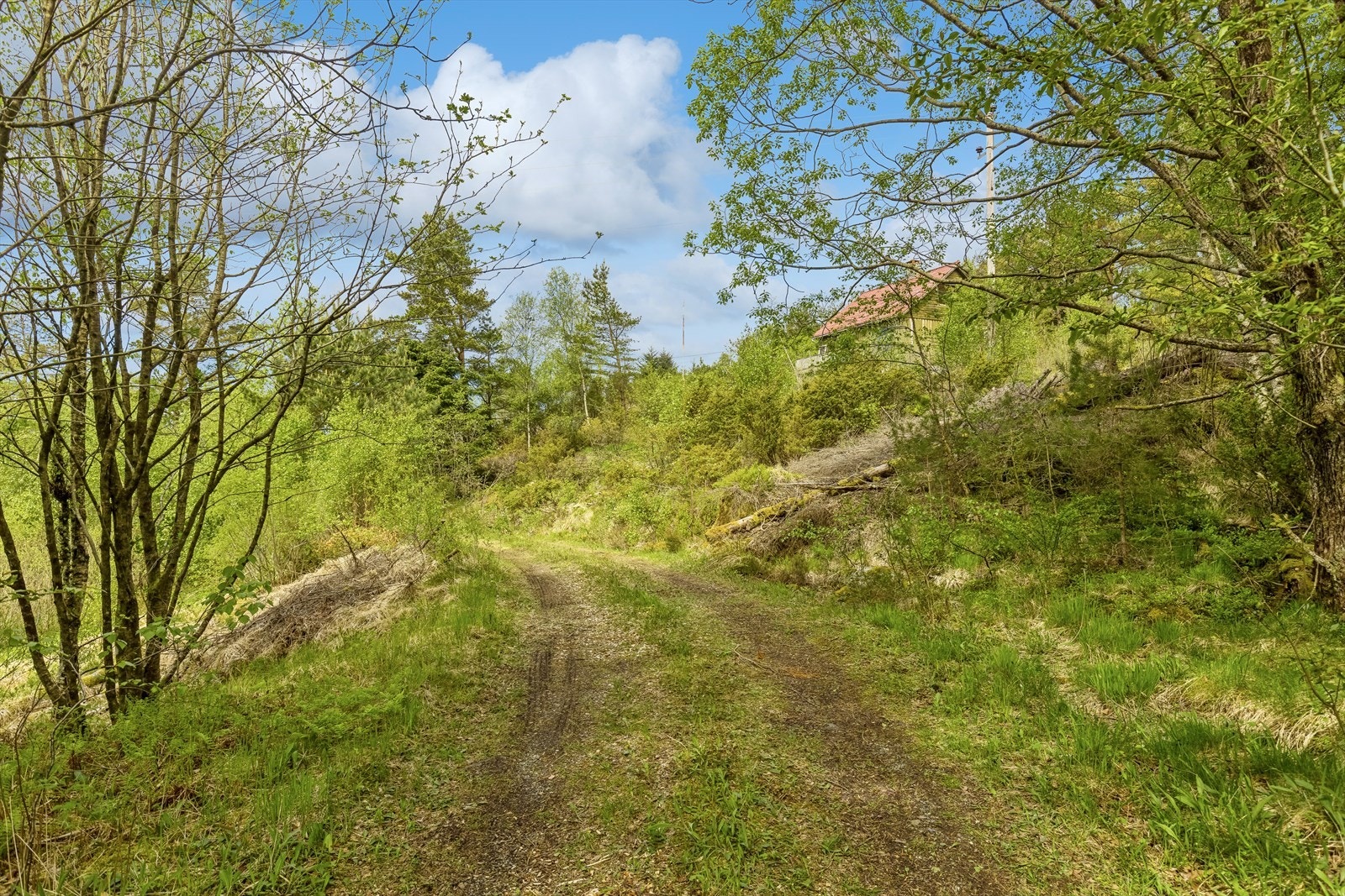 Flott beliggende i landlige, solrike og rolige omgivelser. Galleribilde