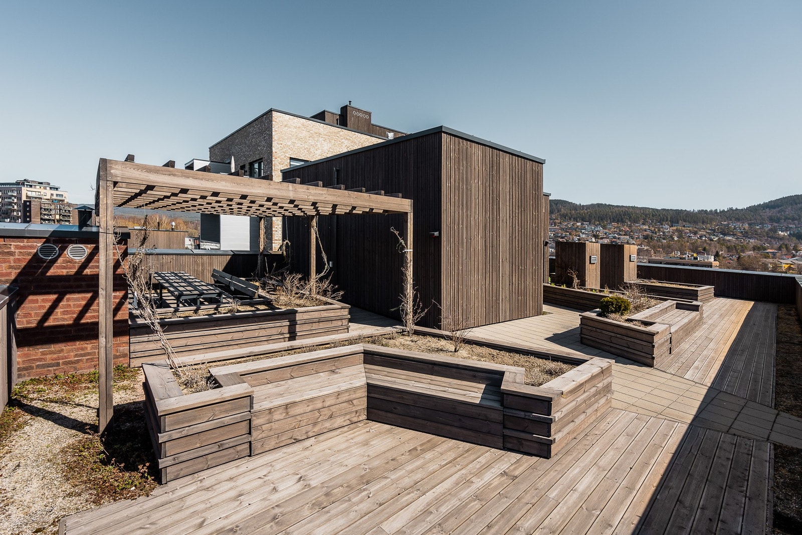 Gode solforhold. Galleribilde