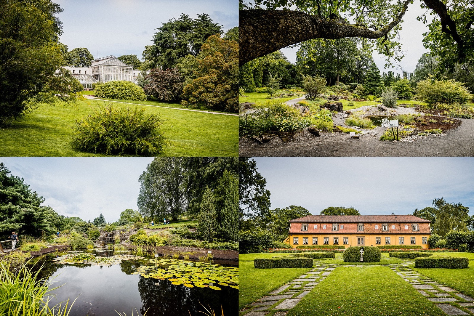 Nydelige Botaniske hage få minutters gange unna. Galleribilde