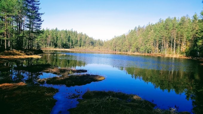 Umiddelbar nærhet til marka! Her er det er mange gode muligheter med både kort vei til naturskjønne Østensjøvannet og Østmarka med bl.a. bade- og fiskevann, kajakkpadling og et omfattende nett av turstier og lysløyper Galleribilde