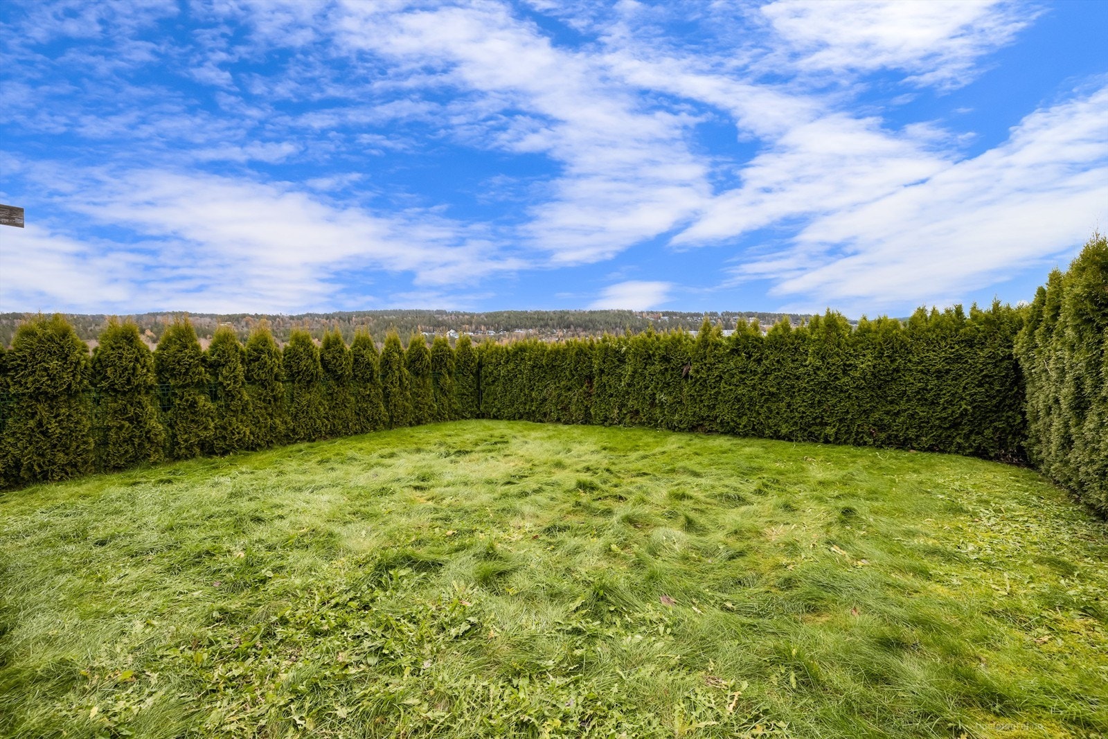 Lettstelt hageområde som er omkranset av hekk Galleribilde