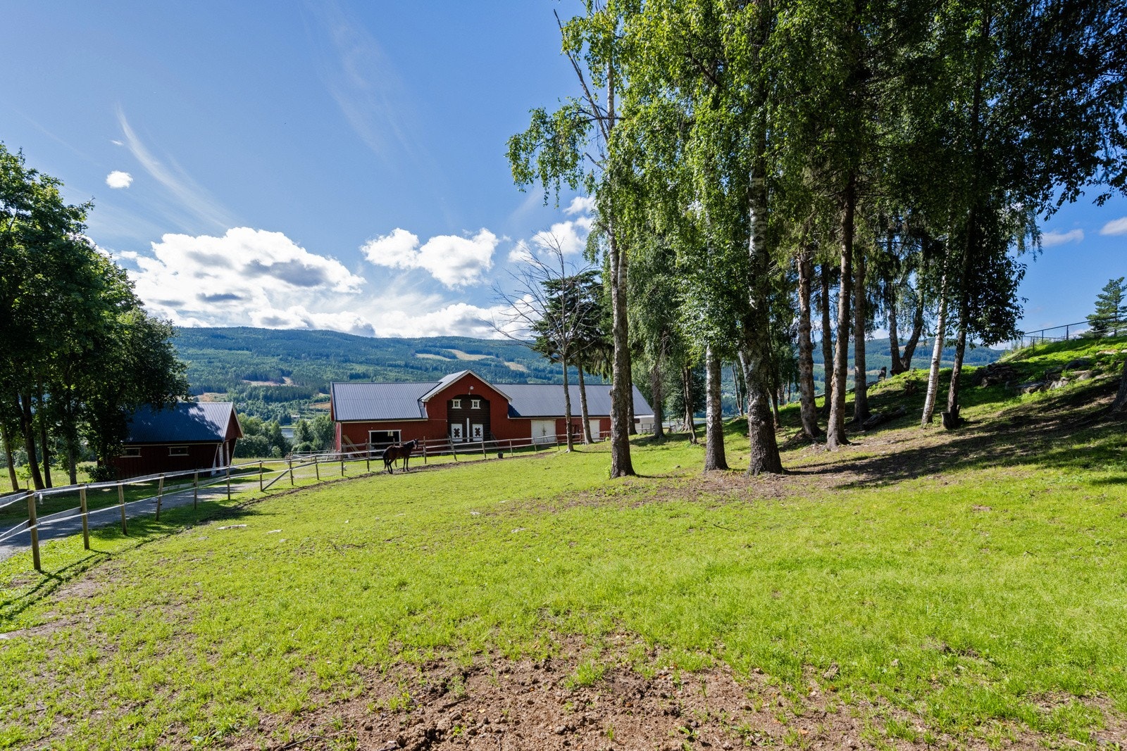 Stall med plass til flere hester og et flott område for hestene Galleribilde