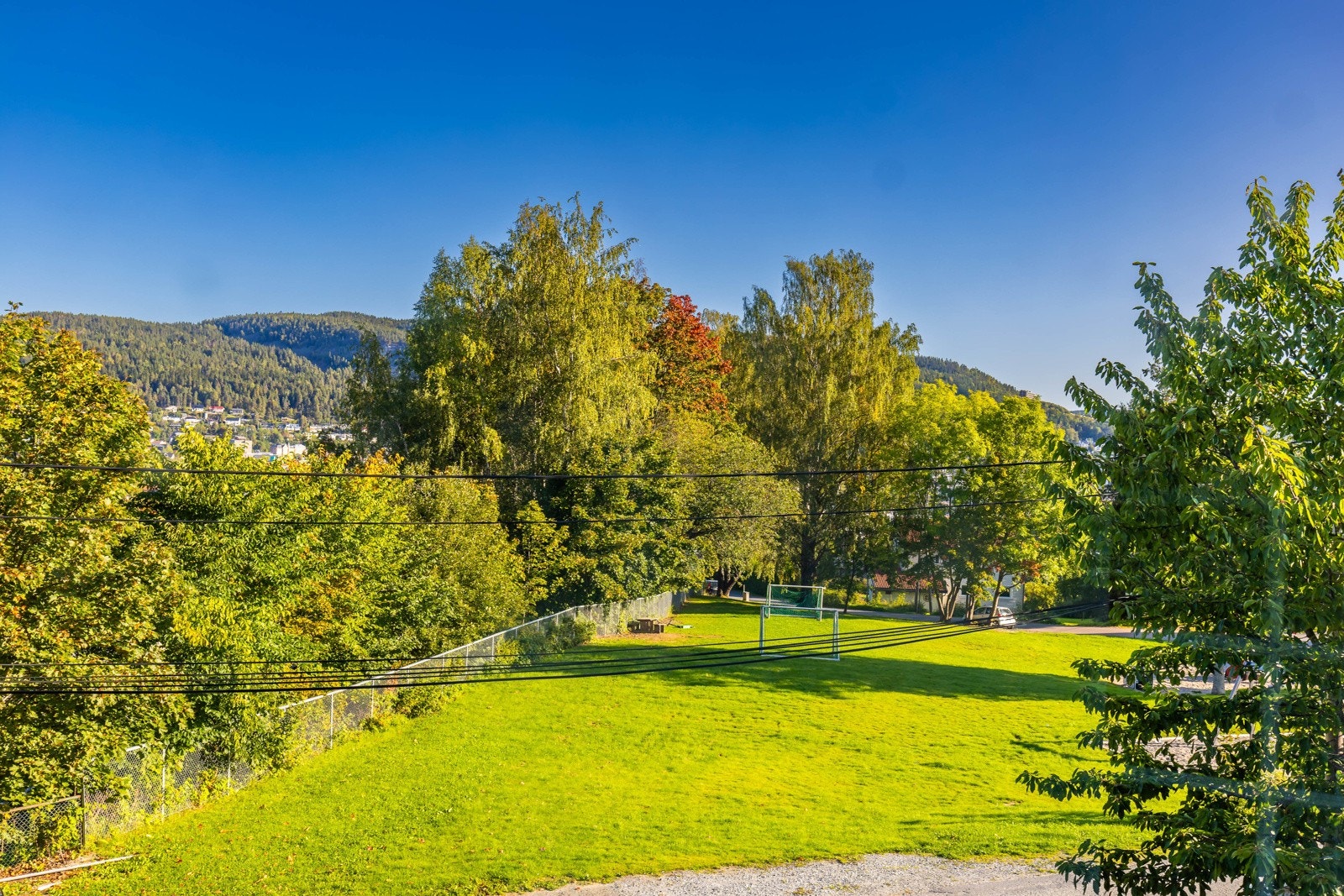 Utsikt mot friområdet. Galleribilde