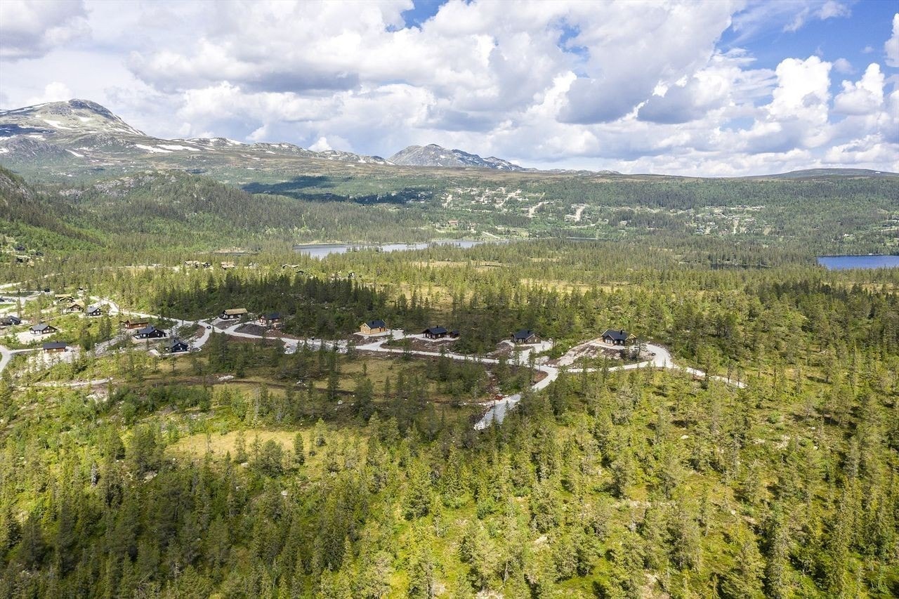 Måsafjell Galleribilde