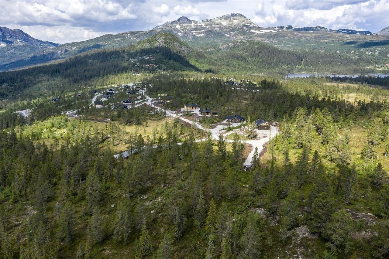 Flott beliggenhet med Gaustatoppen og Gausta-knea i bakgrunn Galleribilde