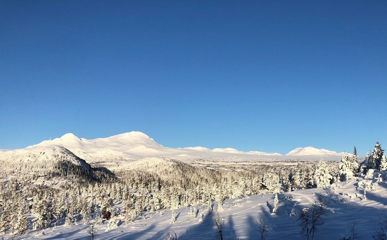Måsafjell - vinterlandskap Galleribilde