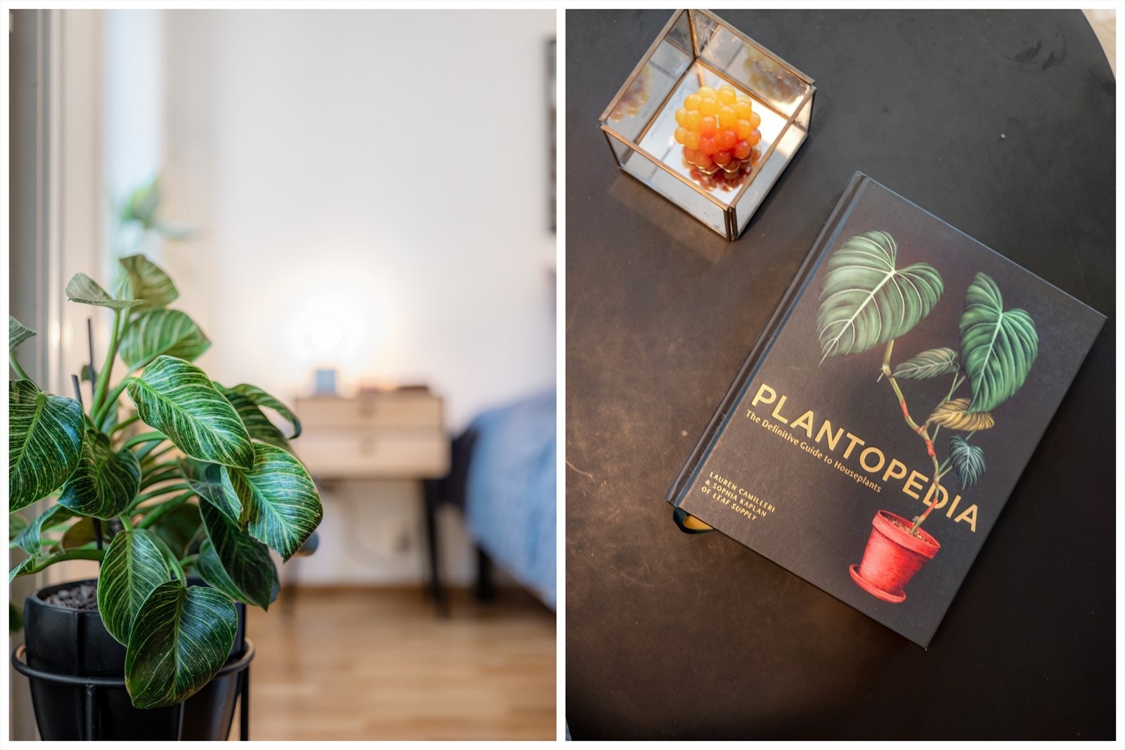 Med Botanisk hage nesten et steinkast unna er det lett å bli inspirert til å innrede sin egen grønne oase... Galleribilde