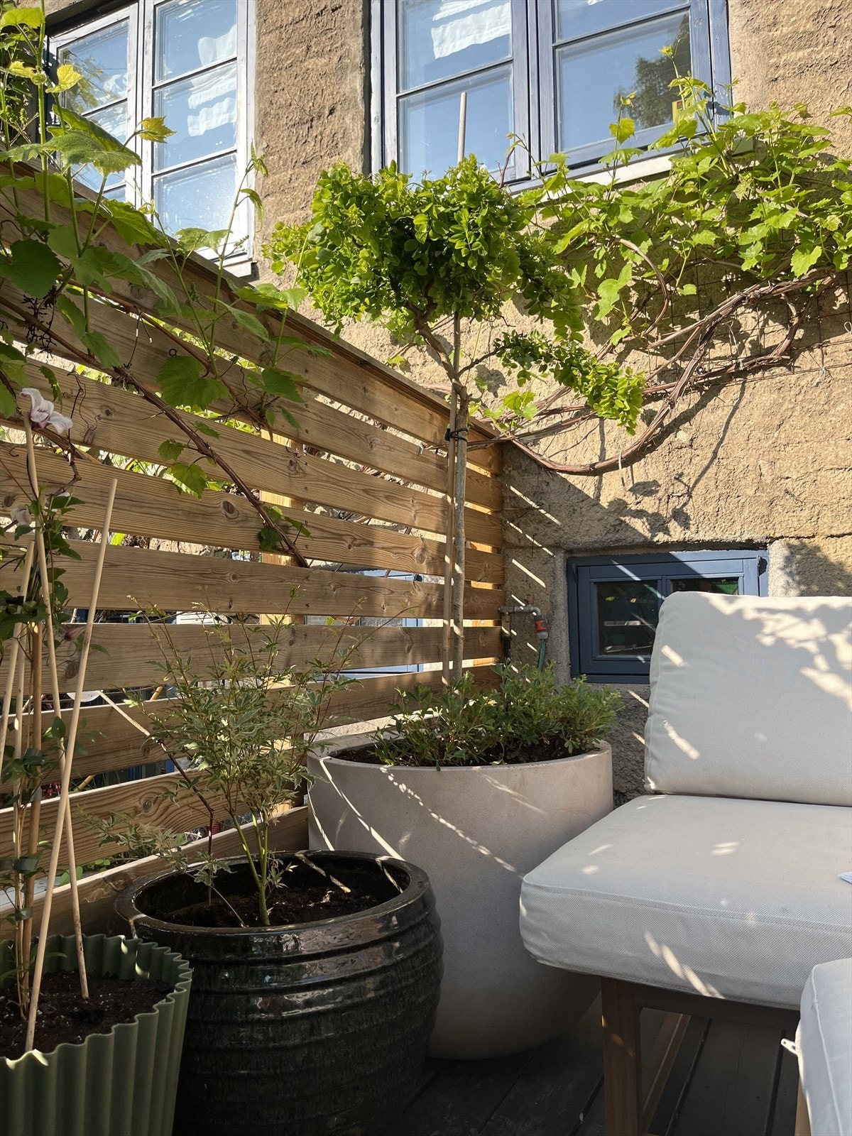 Sollounge og Twisty Baby Galleribilde