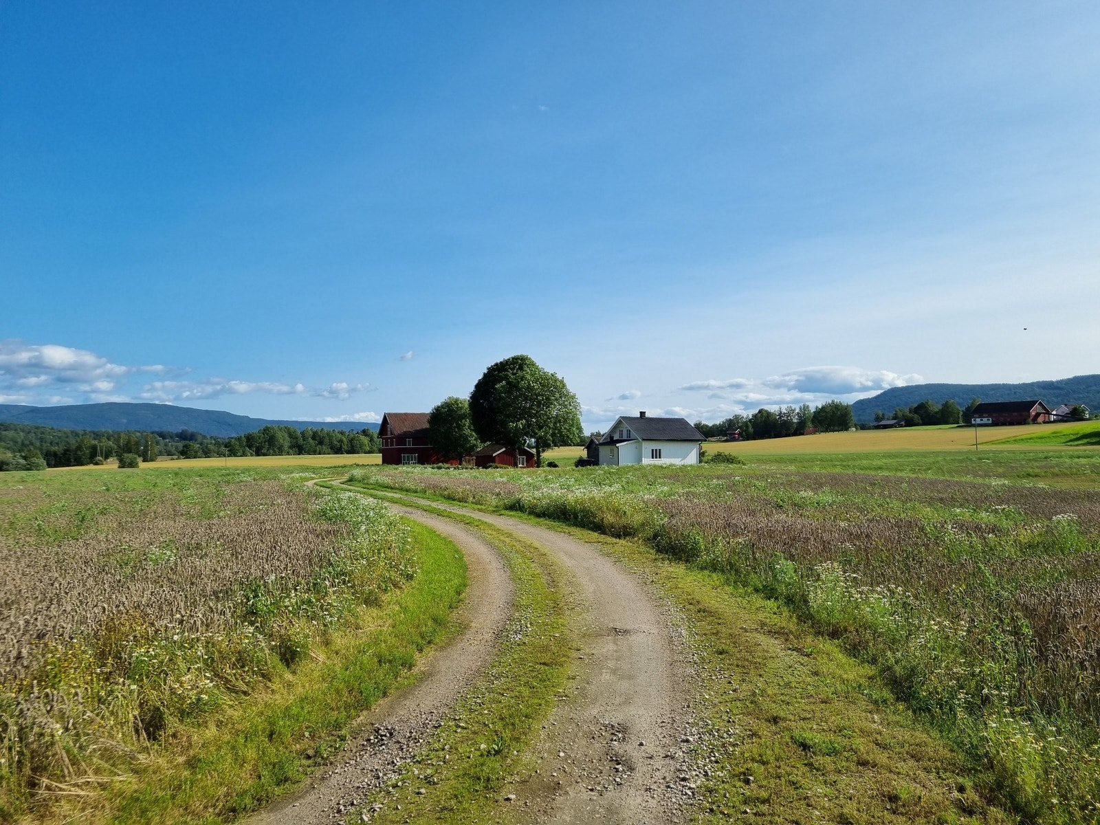 Tunet Galleribilde