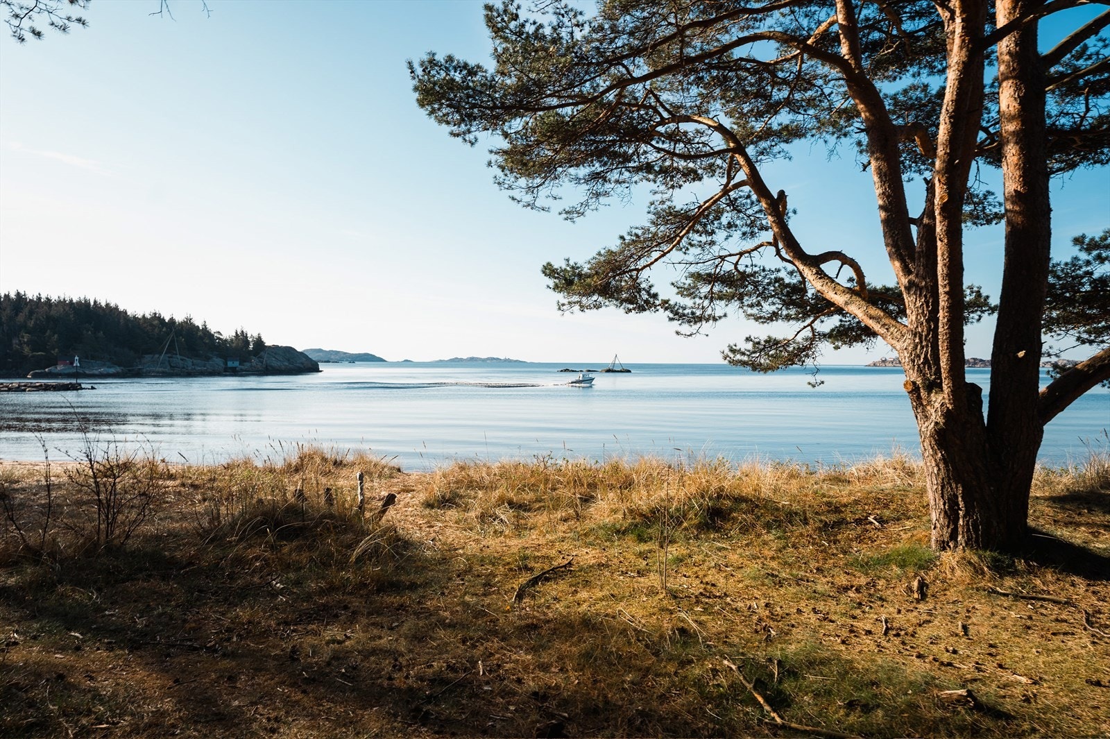 Nærområde med en fantastisk skjærgård Galleribilde