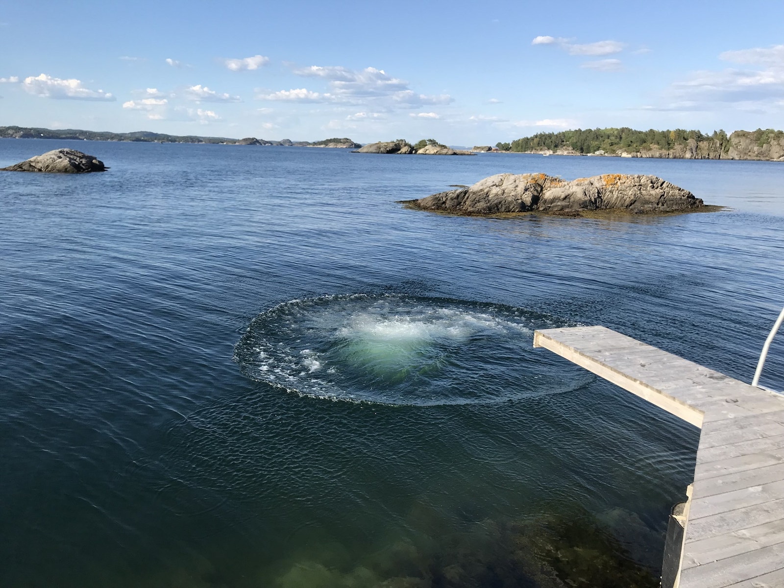 Tid til å perfeksjonere stupet. Galleribilde