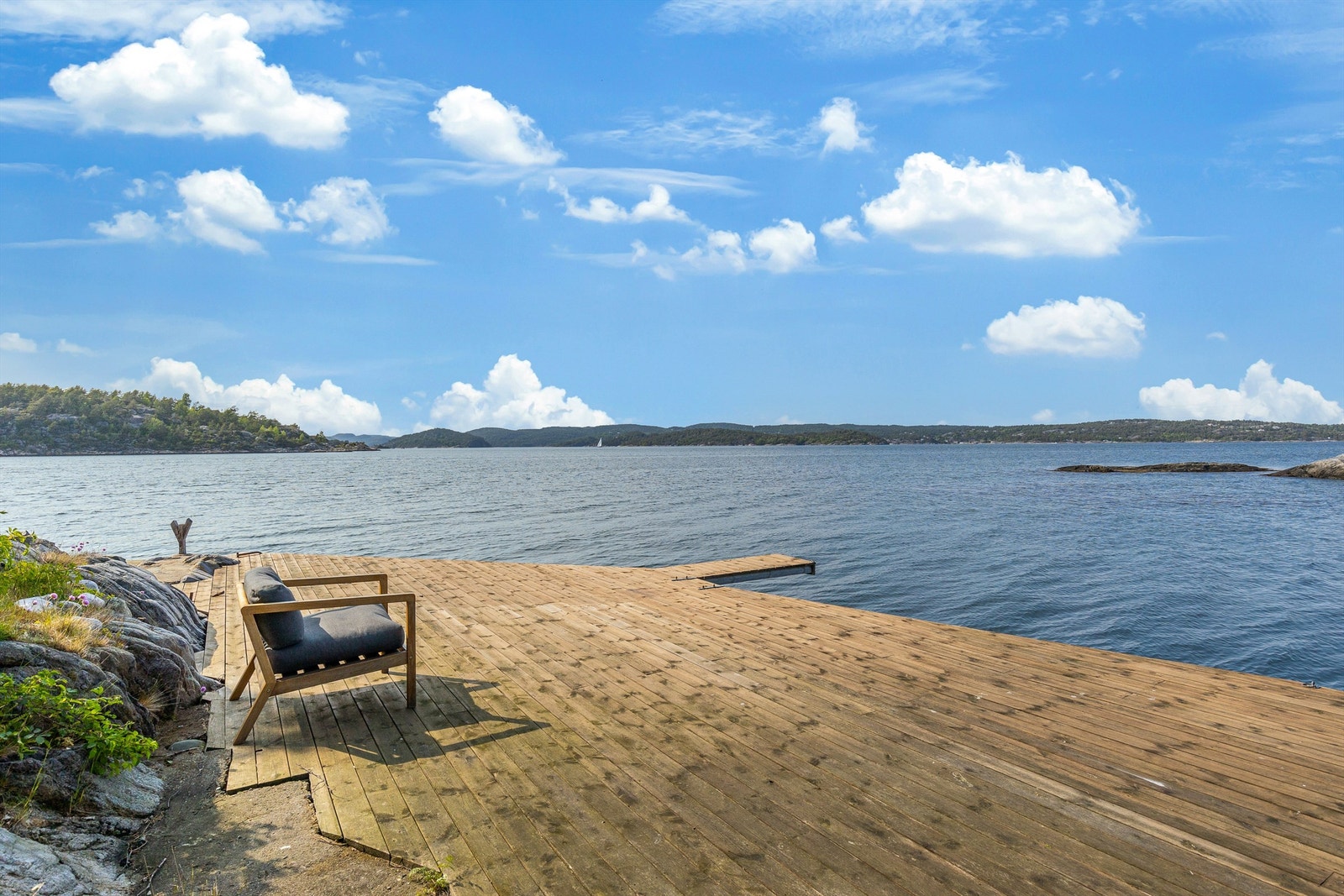 Finn roen... Galleribilde