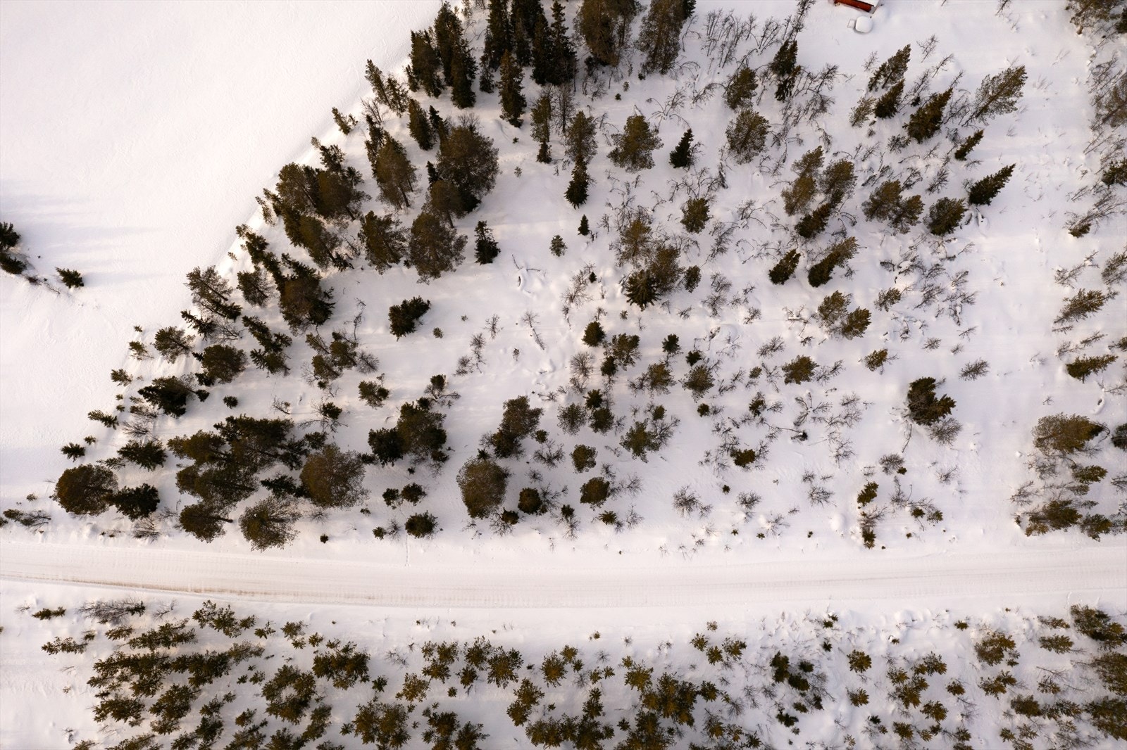 Tomten består for det meste av naturtomt. Galleribilde