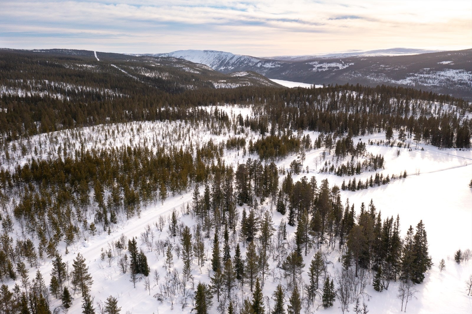 Engerdal har mye flotte naturopplevelser å by på. Galleribilde