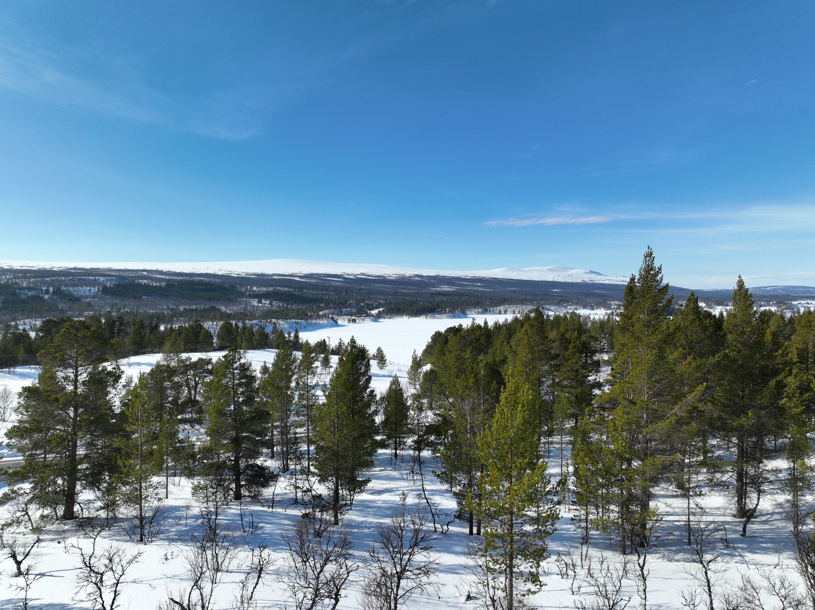 Utsikt fra tomt vinter. Galleribilde