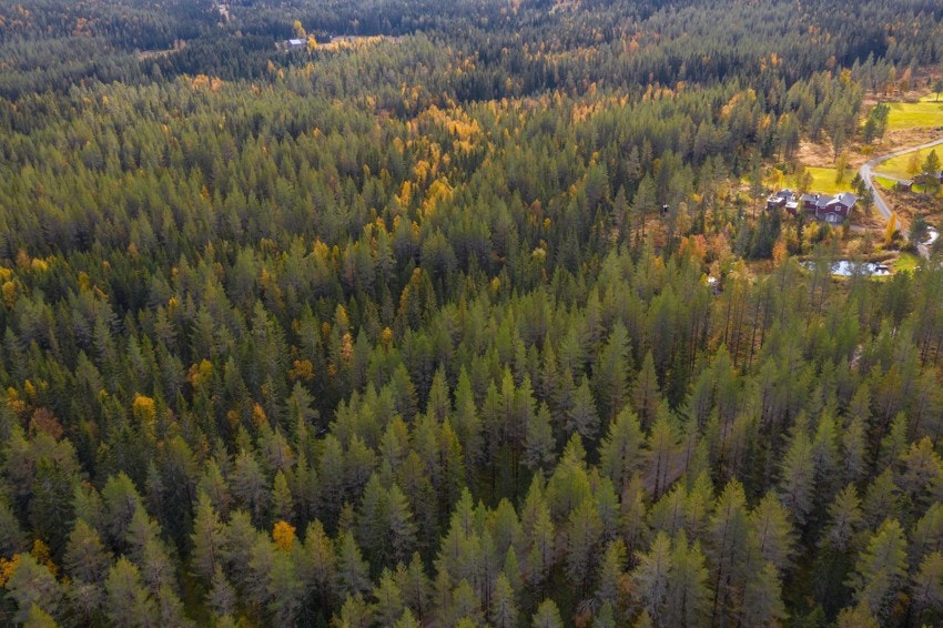 Velkommen til Moldbergvegen! Galleribilde