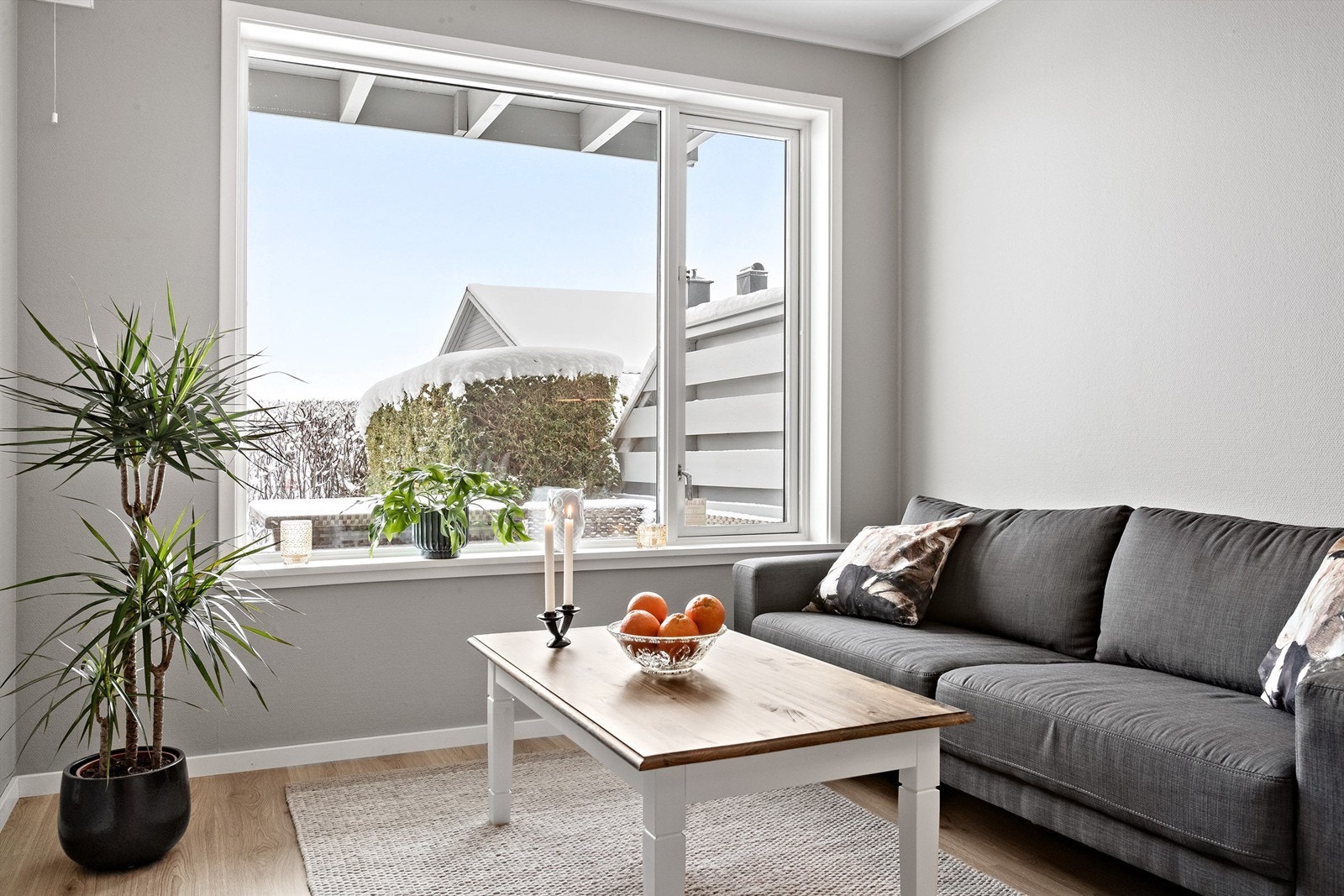 Store vinduer slipper inn mye naturlig lys Galleribilde