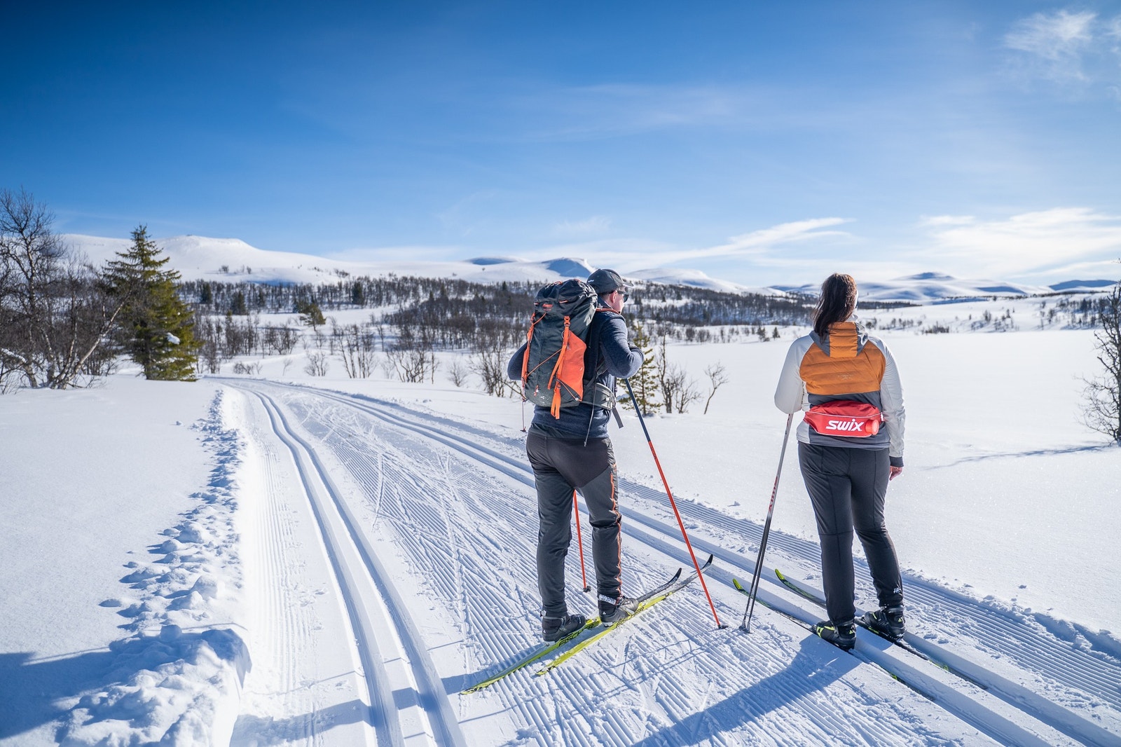 Eller i litt lunere terreng Galleribilde