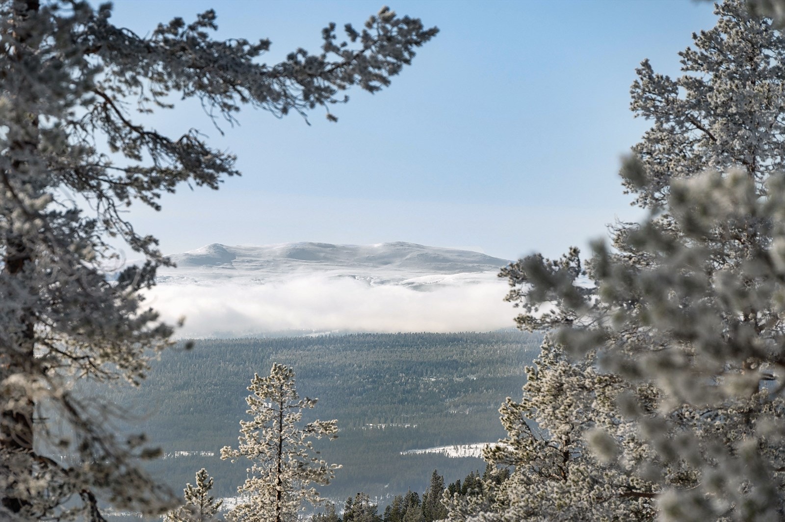 Her kan du finne roen i vakre Rendalen - et eldorado for de friluftsinteresserte. Galleribilde