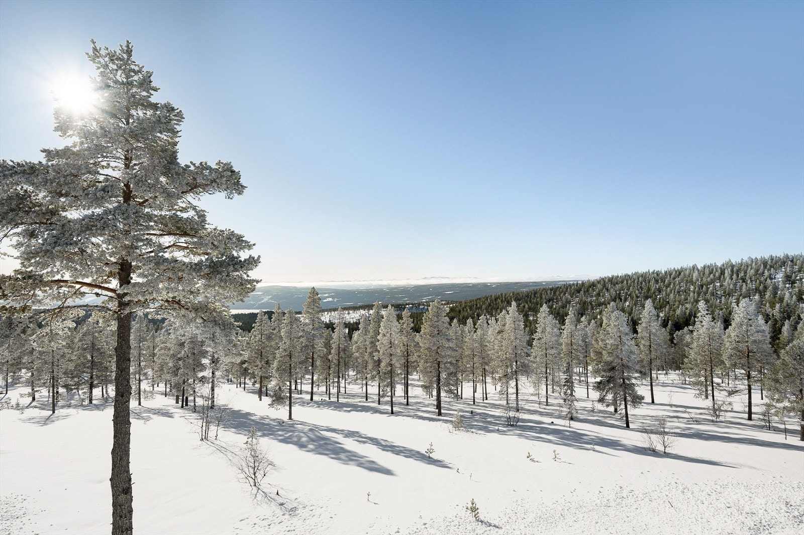 Rendalen er kjent for sine ypperlig muligheter for tradisjonelt friluftsliv, jakt, fiske og ikke minst flotte skiløyper i skogsområder og opp til snaufjellet. Galleribilde