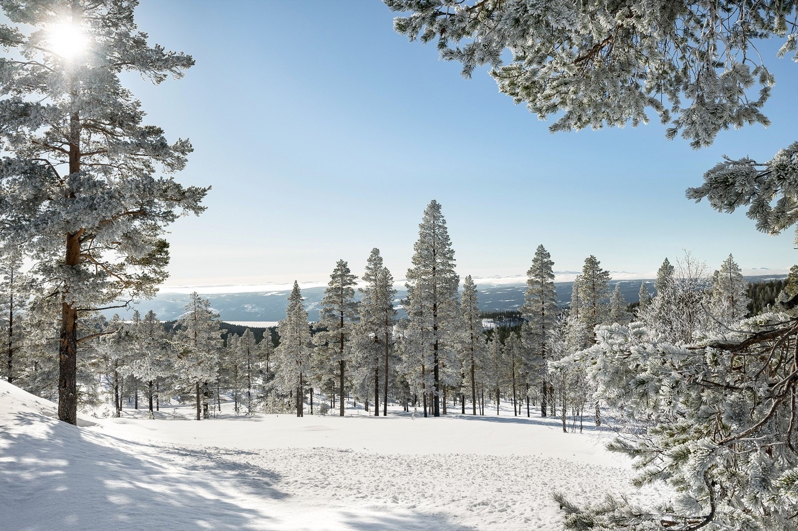 Idylliske omgivelser hvor du kan bygge din egen drømmehytte Galleribilde