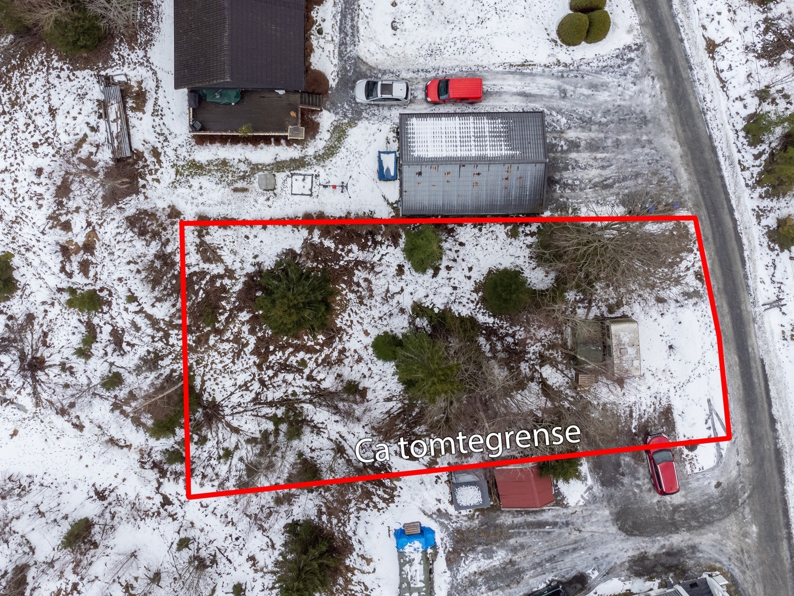 Verkensvn16_01 Galleribilde