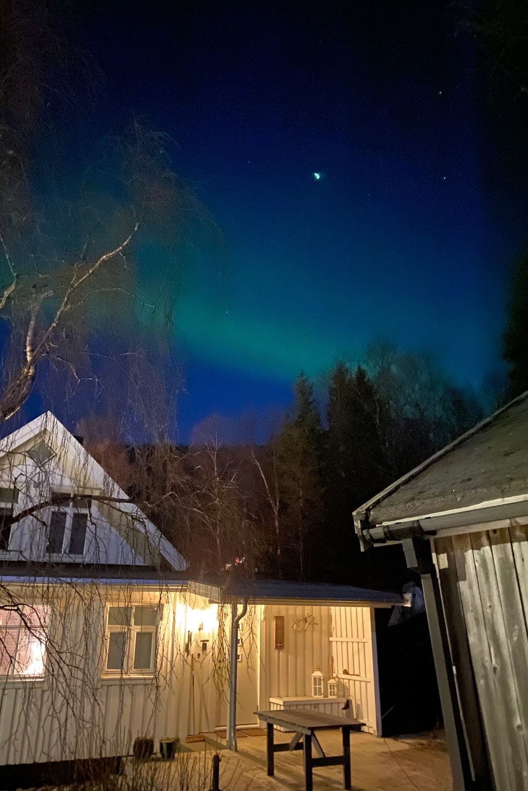 Selgers private bilde. Galleribilde