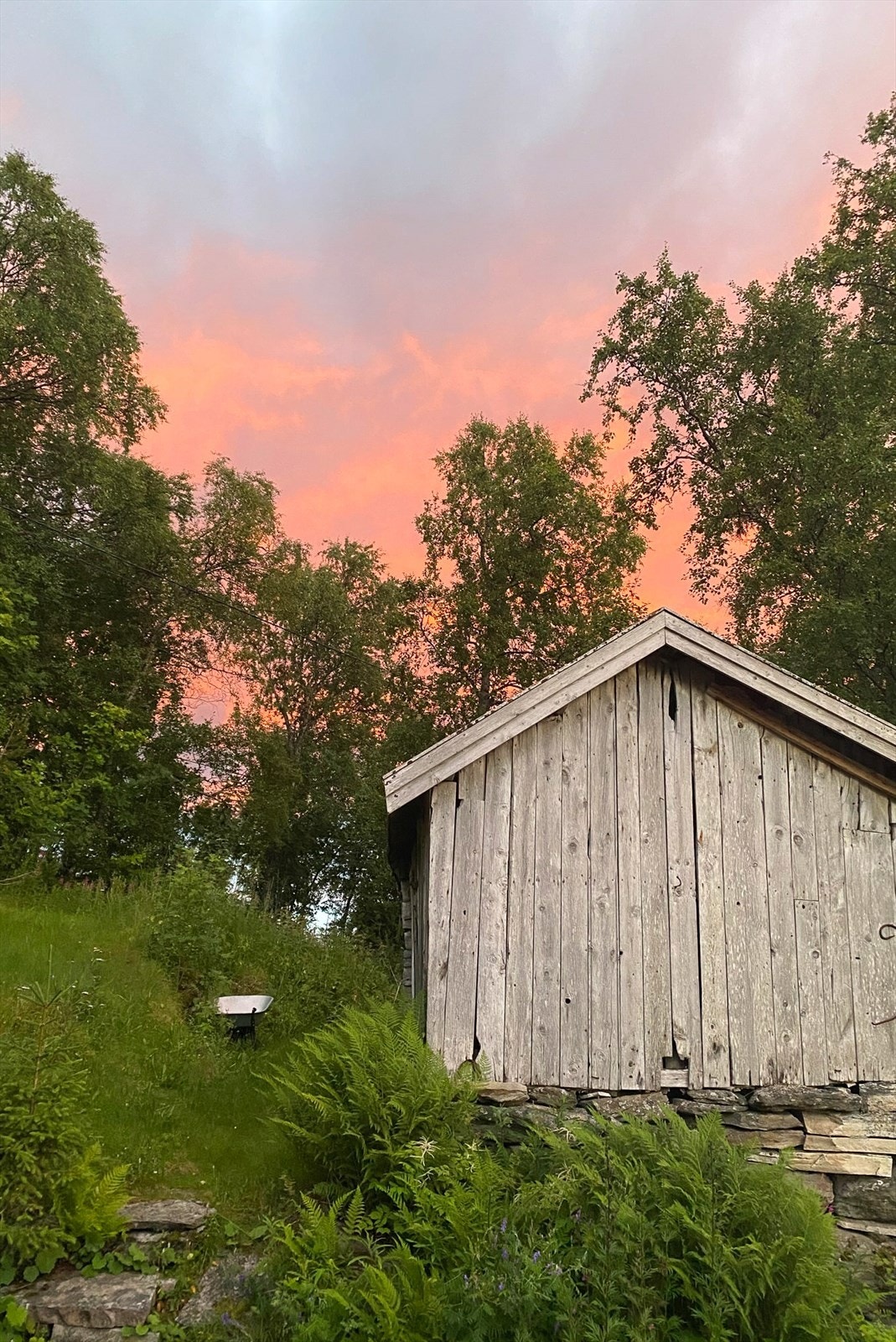 Selgers private bilde. Galleribilde