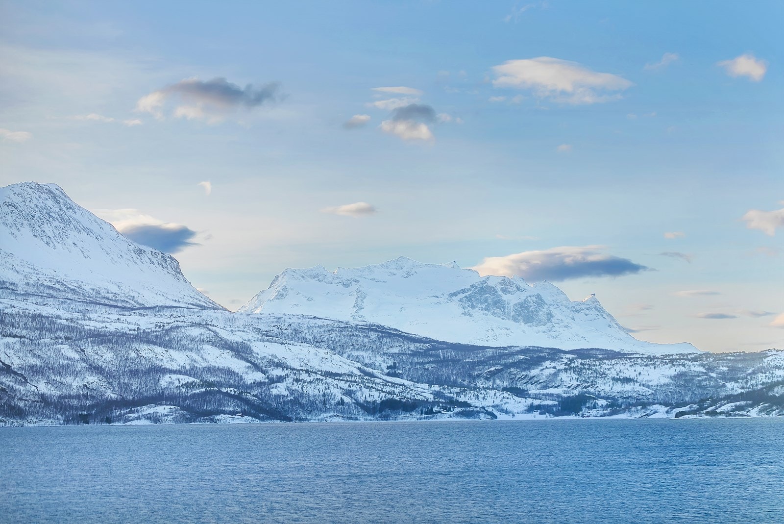 Utsikt fra stue. Galleribilde