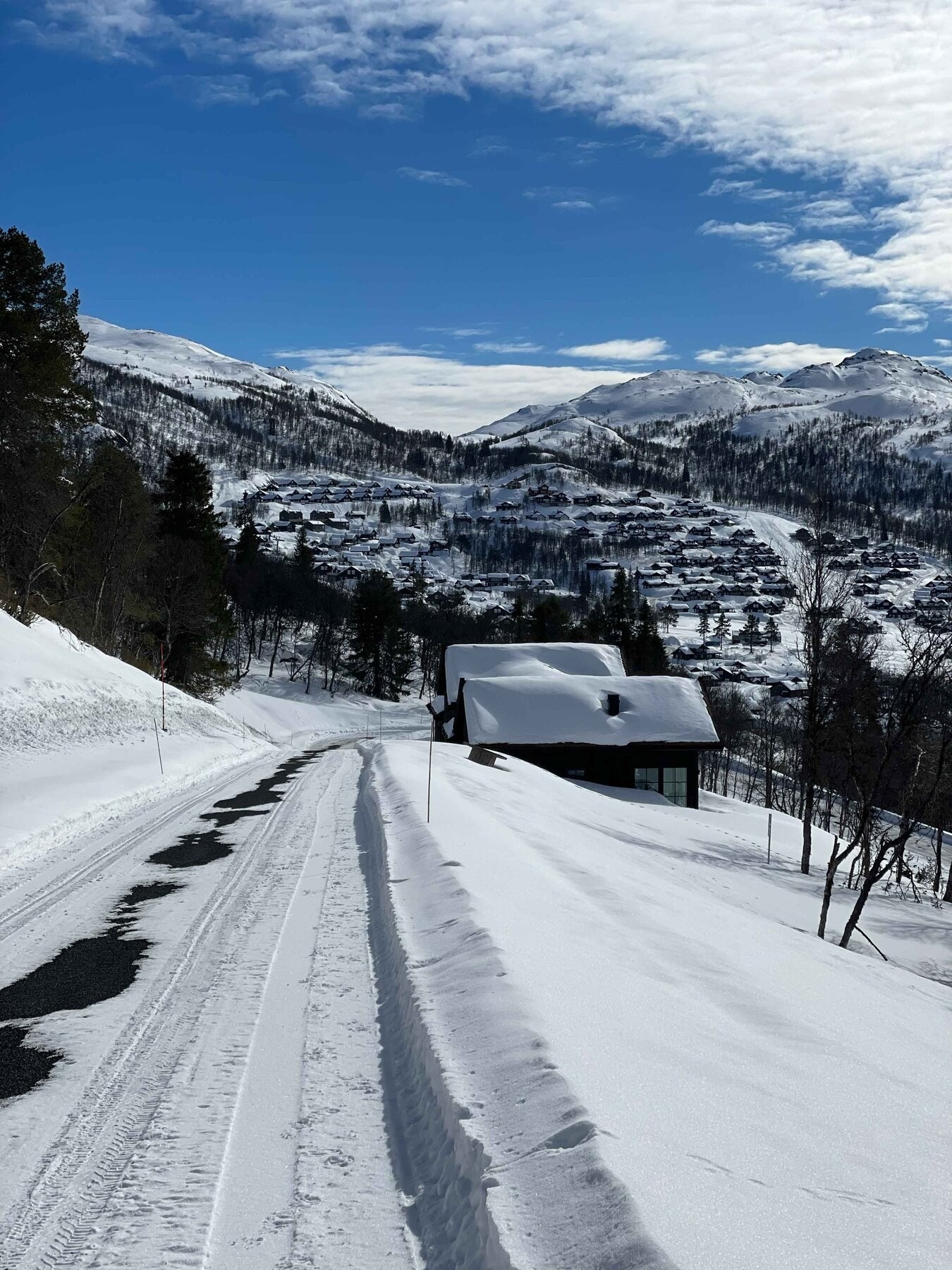 Foto fra tomteområdet Galleribilde