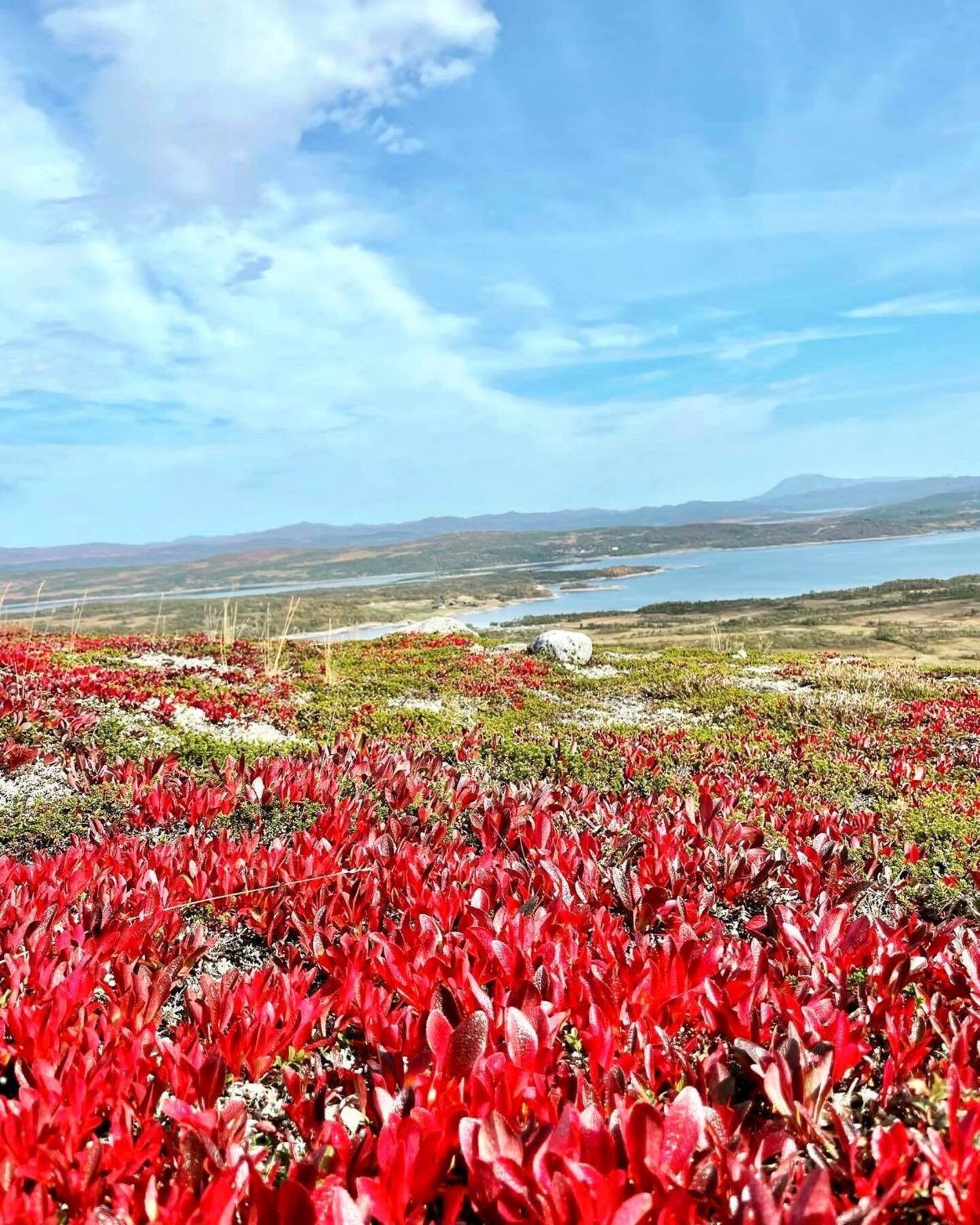 Flotte turmuligheter sommer som vinter Galleribilde