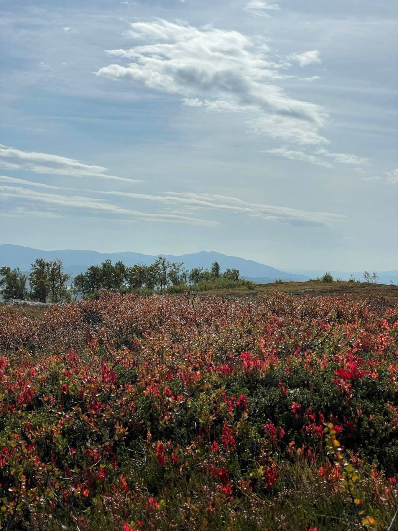 Flotte turmuligheter sommer som vinter Galleribilde