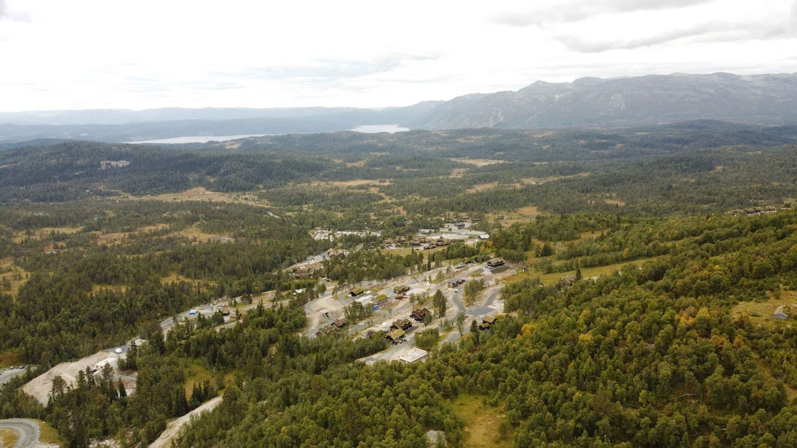Området i sommerdrakt Galleribilde
