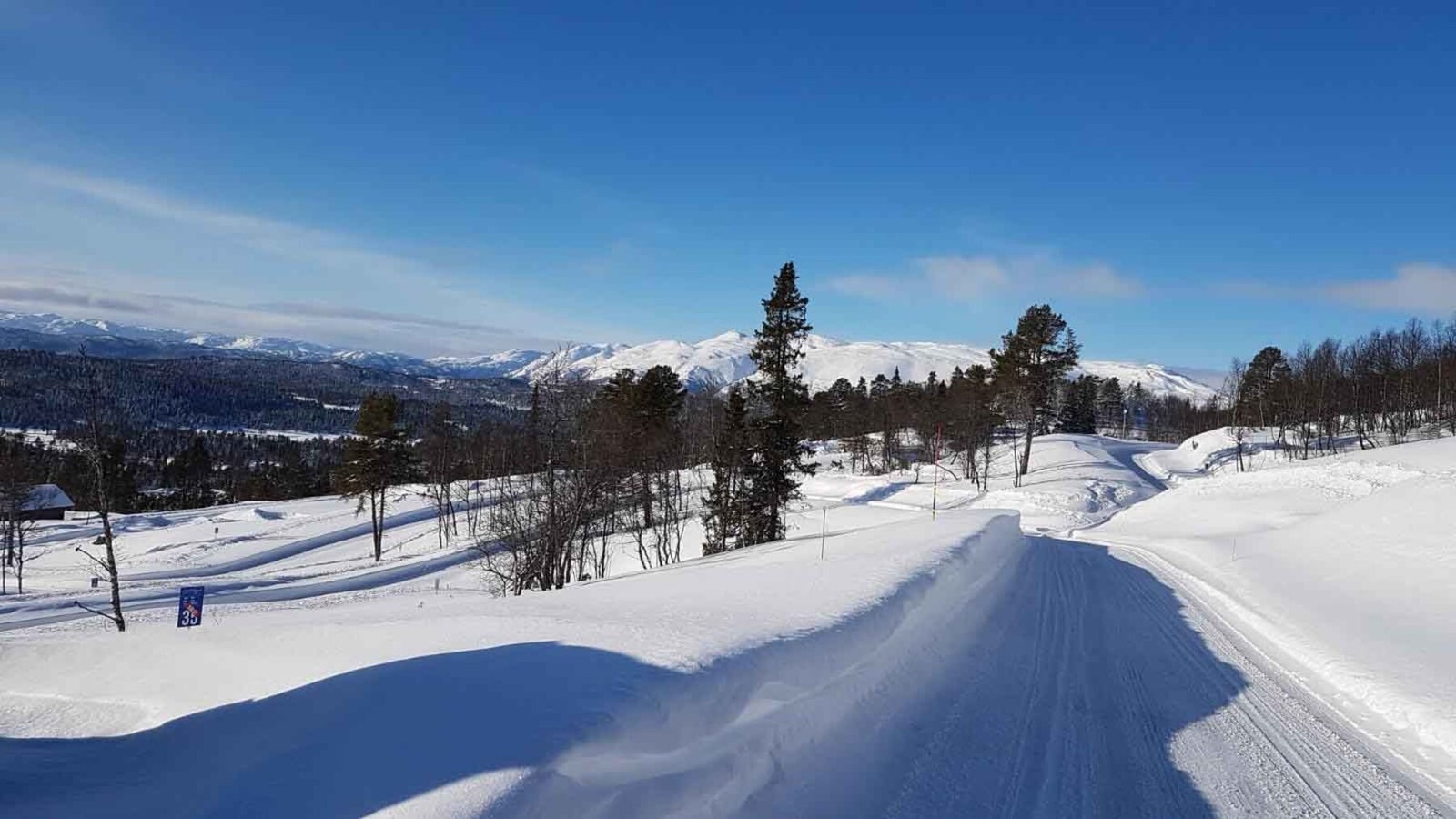 Foto fra tomteområdet Galleribilde