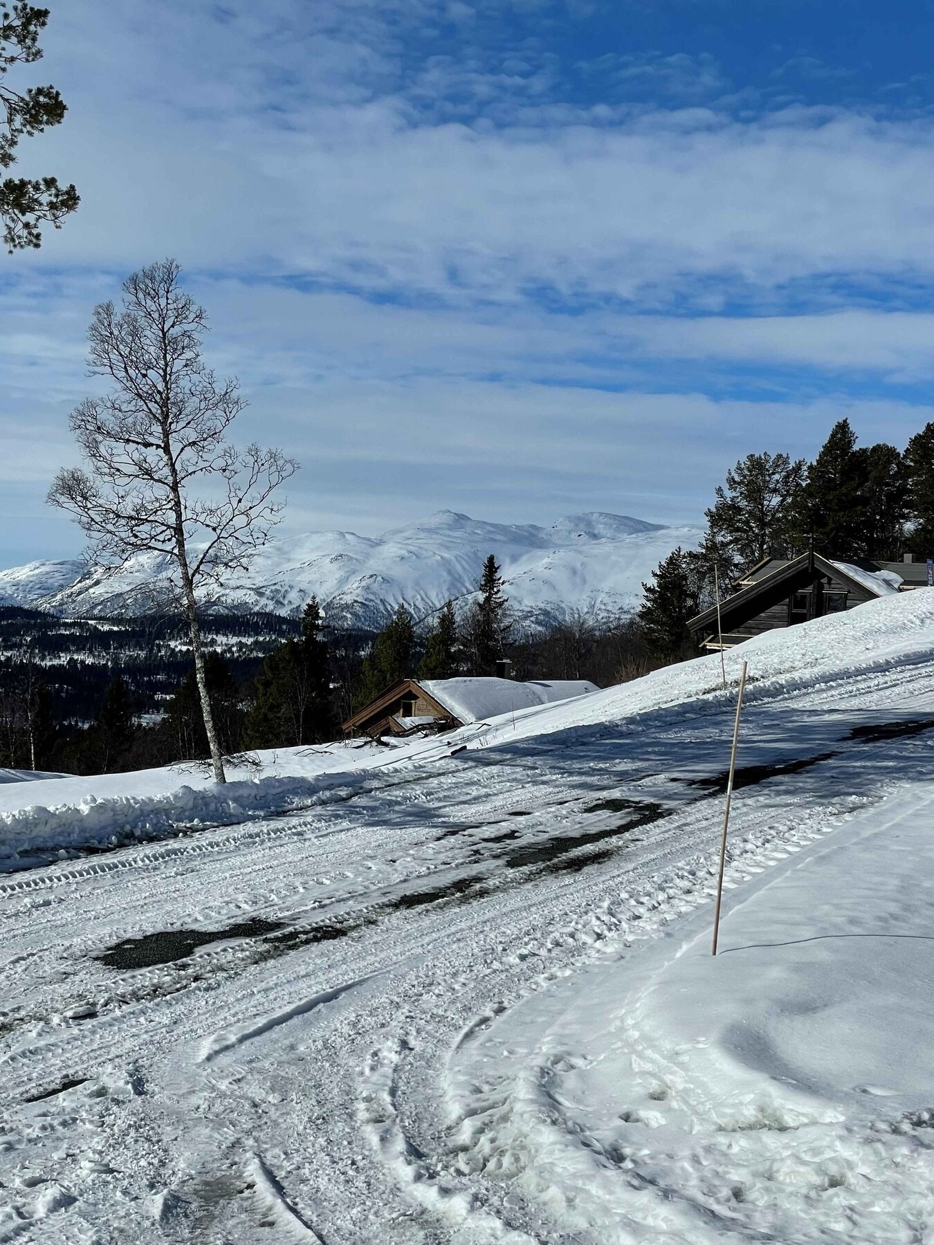 Foto fra tomteområdet Galleribilde