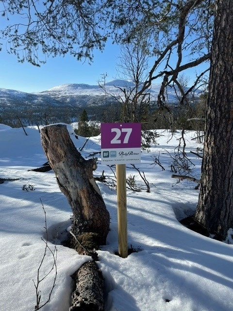Tomt 27 er markert med tomteskilt Galleribilde