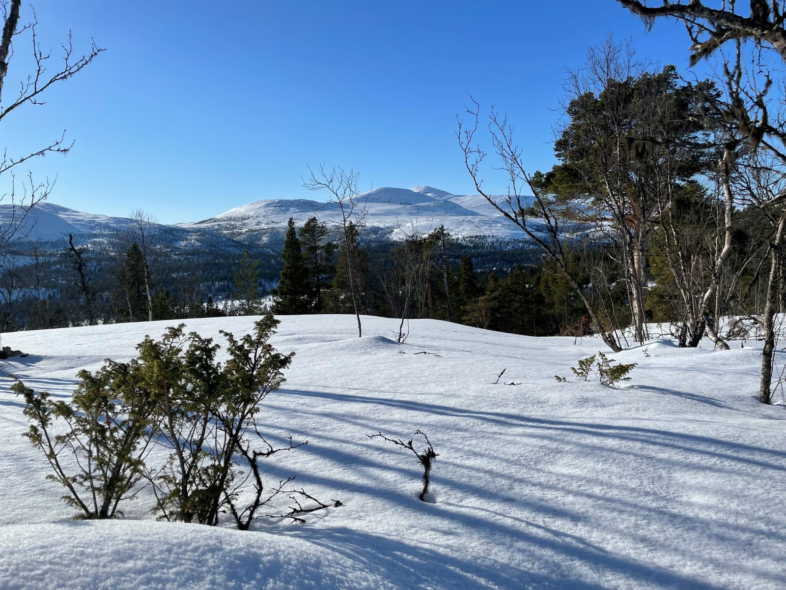 Fantastisk utsikt fra tomt 27! Galleribilde